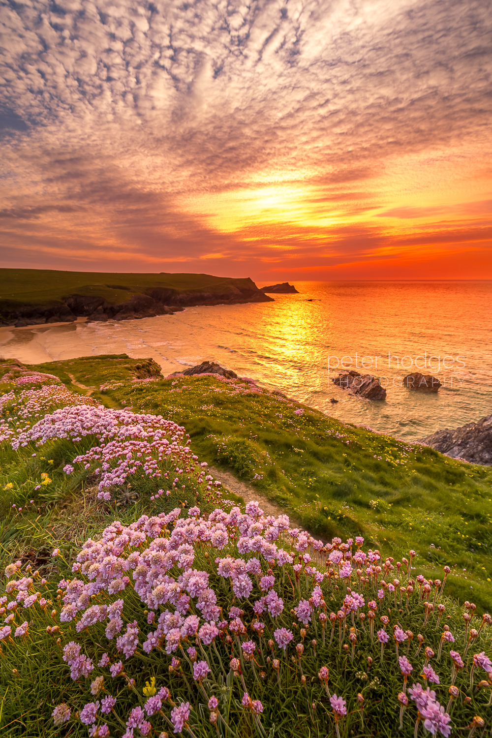 Polly Joke, Poppy Fields, Newquay, Cornish Sunset