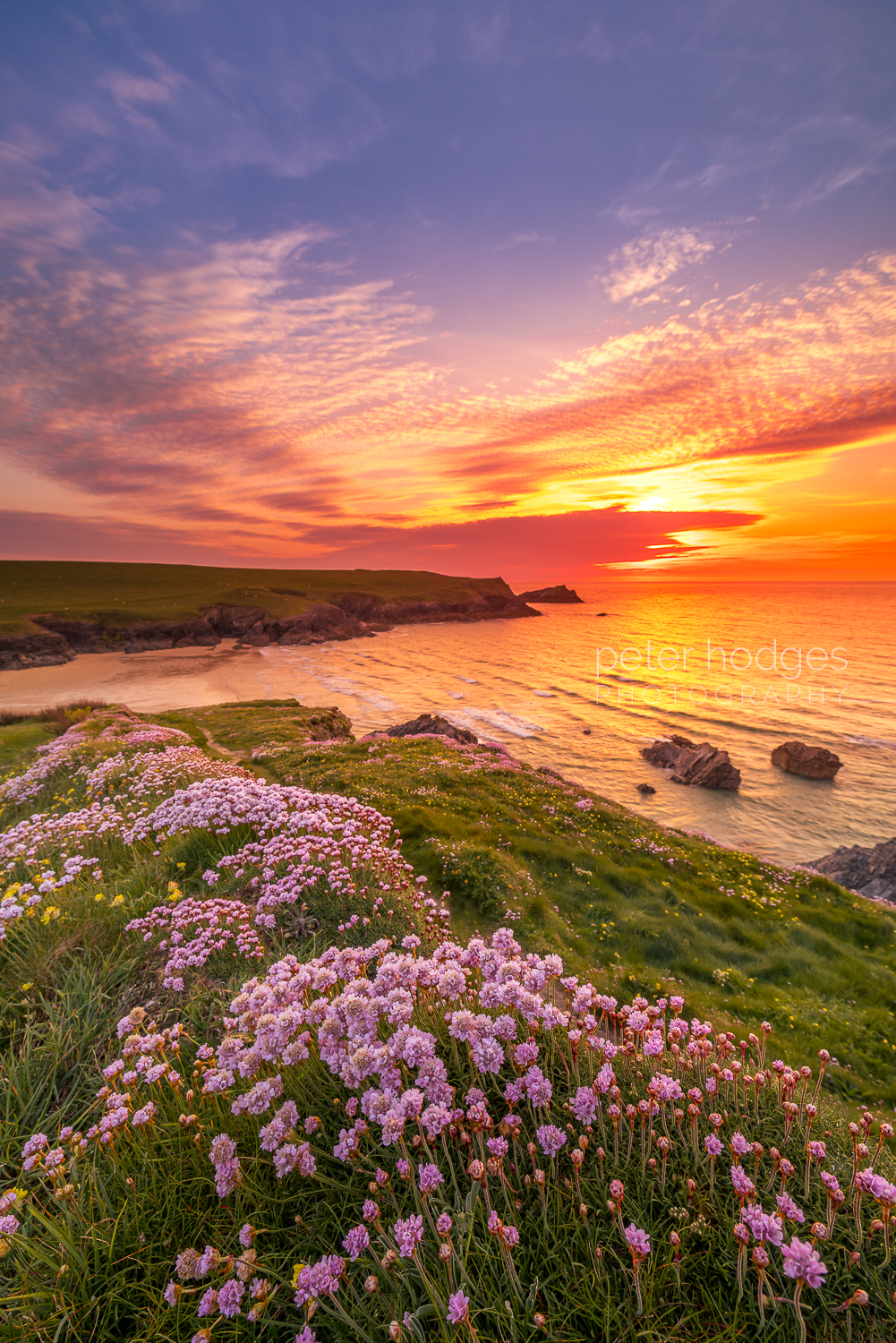 Polly Joke, Poppy Fields, Newquay, Cornish Sunset